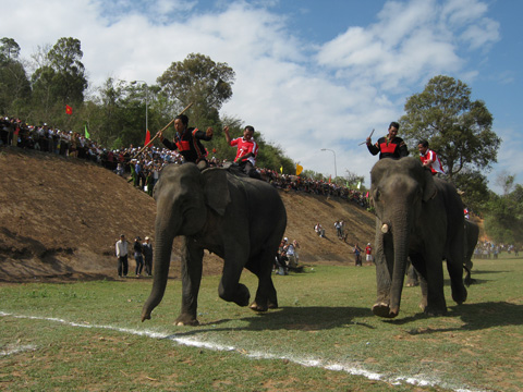 sôi động lễ hội đua voi ở tây nguyên