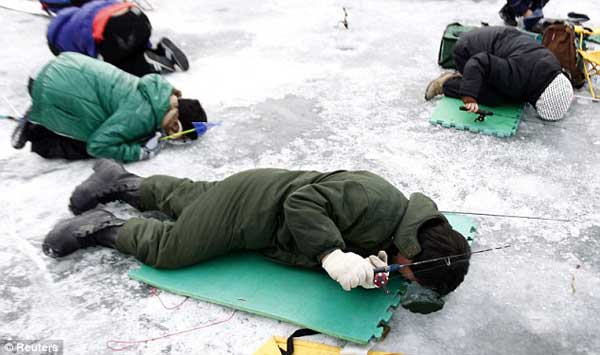 Thú vị lễ hội câu cá trên sông băng của người Hàn Quốc