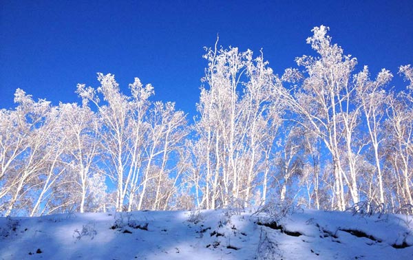 Ngắm thiên đường tuyết trắng ở Mông Cổ