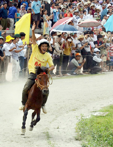 những lễ hội đua ngựa sôi động ở việt nam