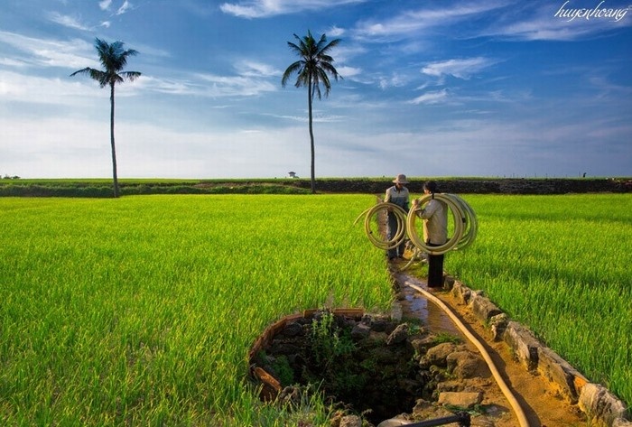 Phiêu cùng những gam màu thiên nhiên tại huyện đảo Lý Sơn