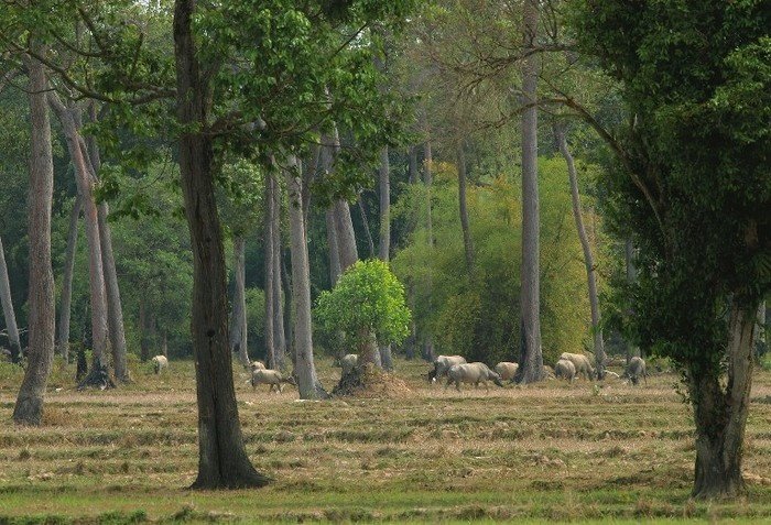 cẩm nang du lịch, du lịch 8/3, du lịch đồng nai, du lịch lễ tết, du lịch nam cát tiên, kinh nghiệm du lịch, mytour.vn, ngày quốc tế phụ nữ, cùng nàng tham quan, cắm trại ở nam cát tiên ngày 8/3