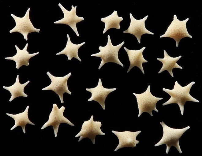 kỳ lạ bãi biển cát hình ngôi sao ở nhật bản