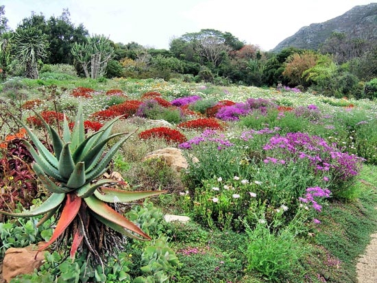 chiêm ngưỡng 10 khu vườn bách thảo đẹp nhất thế giới