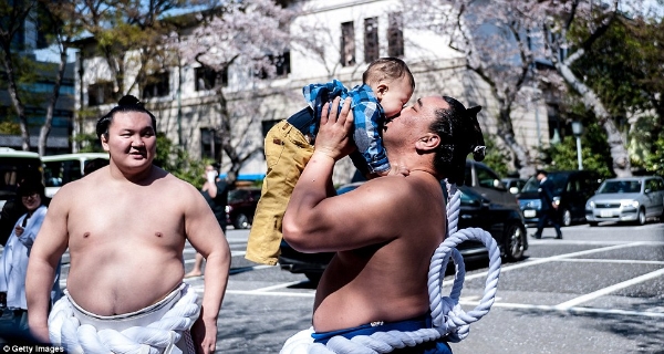 Độc đáo lễ hội mùa xuân của Sumo Nhật
