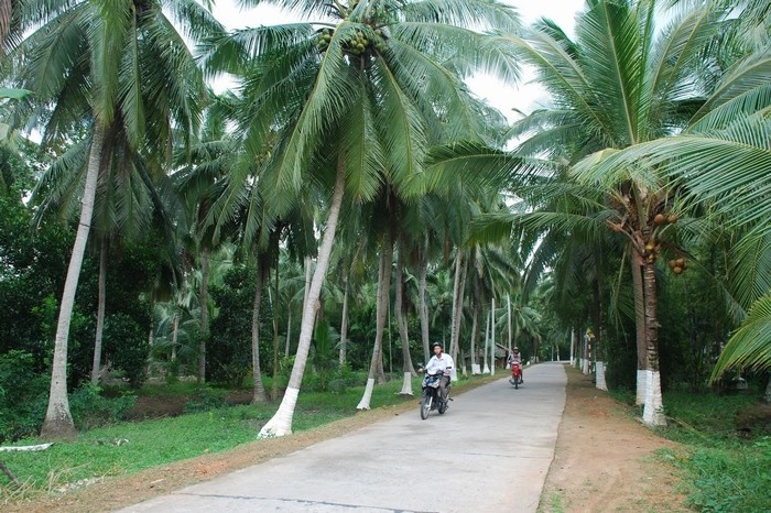 Xuôi mái chèo về khám phá văn hóa dừa nước Bến Tre