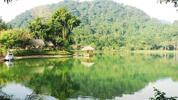 Bạn đã biết 5 khu rừng đẹp nức tiếng ở Việt Nam?