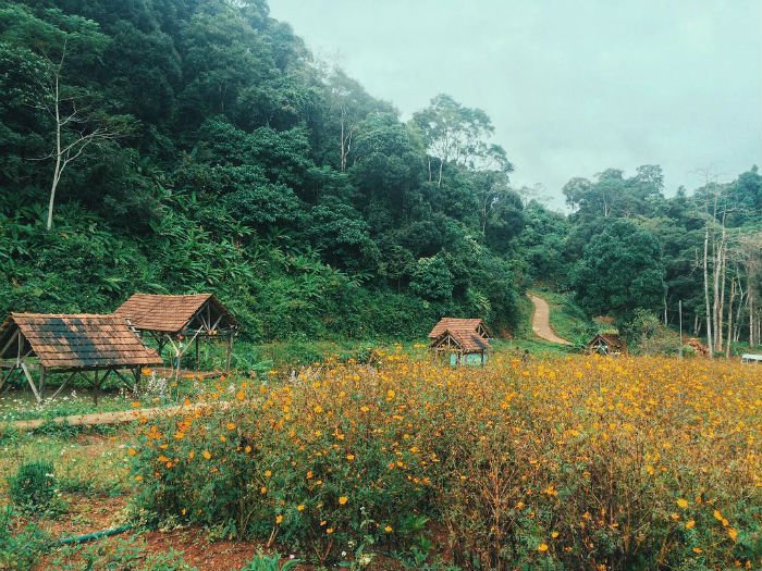 Đắm mình trong cảnh sắc 7 cao nguyên tuyệt đẹp ở Việt Nam