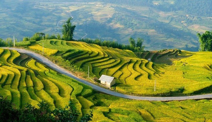 Ngất ngây vẻ đẹp Việt Nam ‘trên từng milimet’