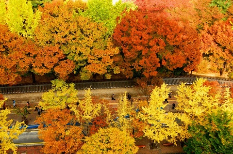 top 10 địa điểm du lịch mùa thu đẹp nhất thế giới