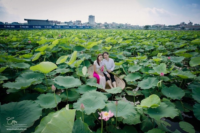 cảnh đẹp hà nội, du lịch hà nội, đầm sen xuân đỉnh, hồ tây, khách sạn hà nội, khám phá hà nội, mùa hoa hà nội, mytour.vn, ngắm sen hà nội, sen hà nội, 3 địa điểm ngắm sen nở đẹp nhất hà thành