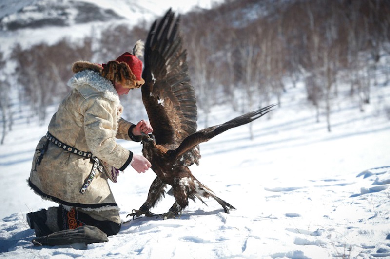 Lễ hội huấn luyện đại bàng ở Mông Cổ đậm dấu ấn vùng cao nguyên