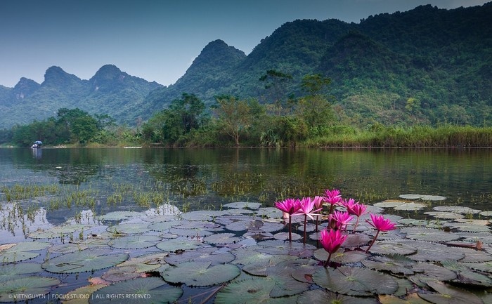 ẩm thực hà nội, cảnh đẹp hà nội, cảnh đẹp việt nam, chả cốm hà nội, du lịch hạ long, du lịch hà nội, du lịch huế, du lịch ninh bình, du lịch việt nam, khách sạn hà nội, khám phá hà nội, khám phá việt nam, mytour, ngất ngây những bức tranh sơn thủy ở nước việt