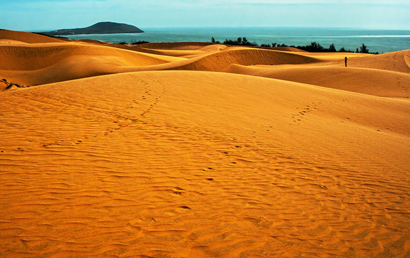 Hãy đến và in dấu chân trên những đồi cát đẹp nhất miền Trung