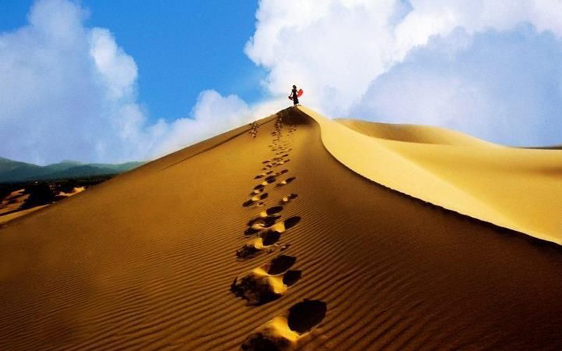hãy đến và in dấu chân trên những đồi cát đẹp nhất miền trung