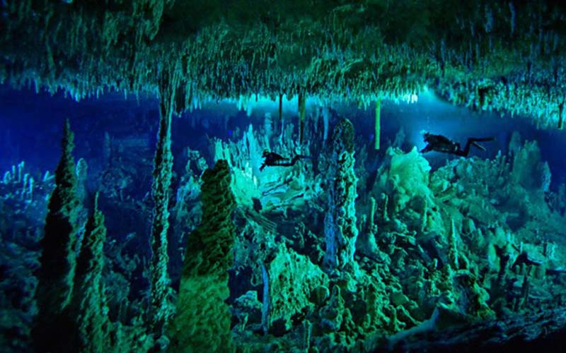 great blue hole – khám phá hố xanh khổng lồ giữa lòng đại dương