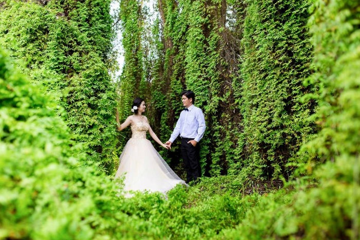 Long An – địa điểm chụp ảnh cưới mới thu hút giới trẻ Sài Gòn