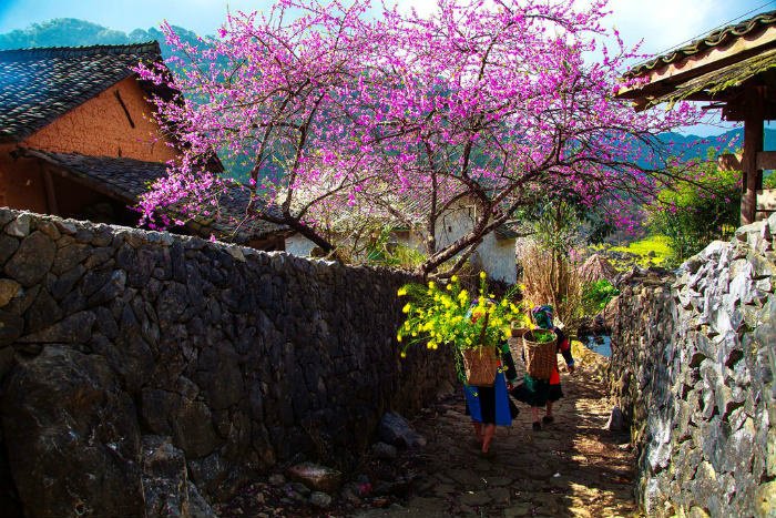 cảnh đẹp sapa, du lịch lào cai, du lịch sa pa, du lịch sapa, du lịch sapa mùa xuân, du lịch tây bắc, khách sạn sapa, khám phá sapa, kinh nghiệm du lịch sapa, mùa xuân sapa, mytour, tour du lịch sapa, mùa xuân sapa – lung linh như một bức tranh thơ – kỳ 1