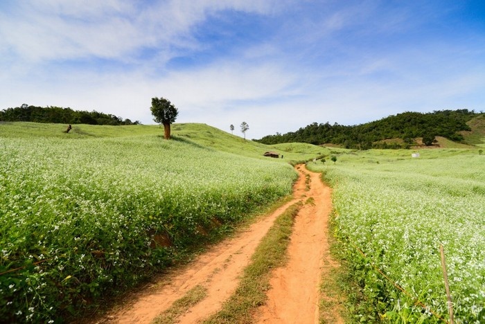 cảnh đẹp việt nam, du lịch hà giang, du lịch lâm đồng, du lịch nghệ an, du lịch việt nam, khách sạn giá rẻ, khám phá mộc châu, khám phá sapa, khám phá việt nam, mytour.vn, 5 vùng đất mùa đông dành riêng cho người ưa xê dịch