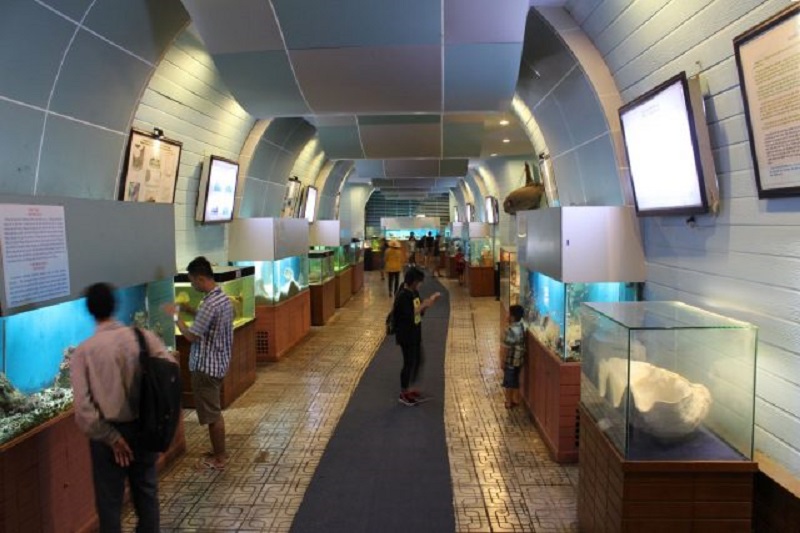 10 bảo tàng hút khách du lịch nhất của việt nam (p1)