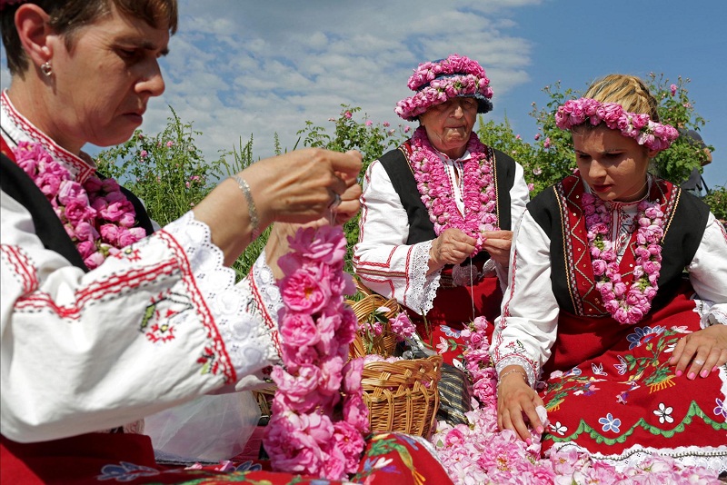 ngẩn ngơ với lễ hội hoa hồng tràn ngập sắc hương tại maroc