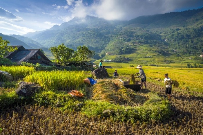 cảnh đẹp sapa, cảnh đẹp việt nam, du lịch sa pa, du lịch sapa, du lịch tây bắc, khách sạn giá rẻ, khách sạn sapa, kinh nghiệm du lịch sapa, mytour.vn, phượt tây bắc, tour du lịch sapa, có một sapa lung linh trong hương sắc của bốn mùa – kỳ 2