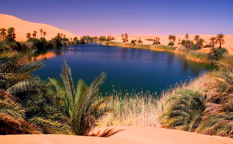 Những ốc đảo xanh giữa sa mạc đẹp nhất bạn từng biết
