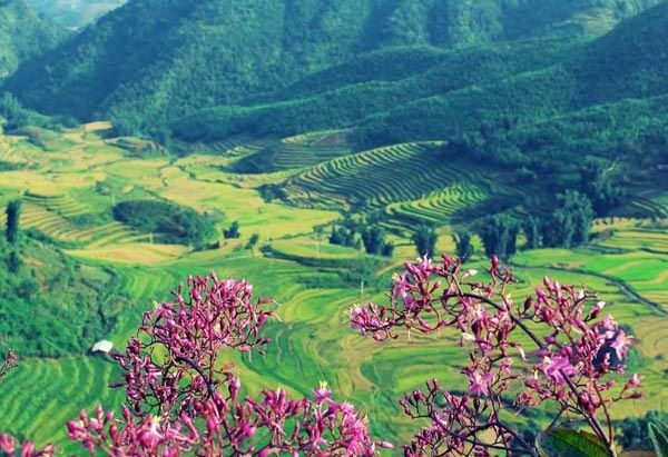 7 thung lũng Việt Nam đẹp tựa tranh họa bích