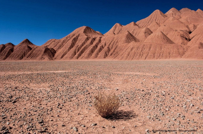 vì sao hoang mạc atacama được mệnh danh là sao hỏa của trái đất?