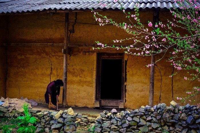 cảnh đẹp hà giang, cánh đồng hoa hà giang, du lịch hà giang, du lịch hà giang tháng 3, du lịch sa pa, du lịch tây bắc, hà giang tháng 3, khách sạn hà giang, mytour.vn, hà giang tháng 3 – lời hẹn của những ngày cuối xuân chưa ngỏ