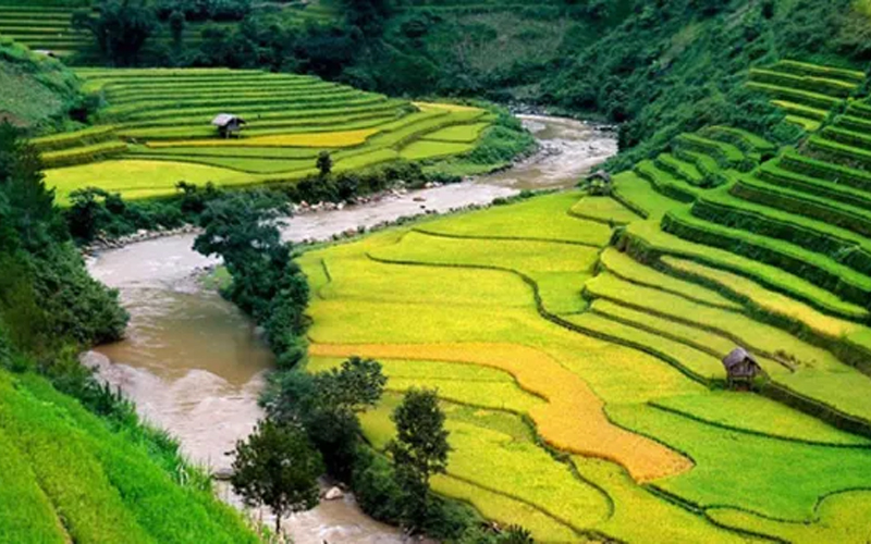 Tránh nắng ở 5 thung lũng đẹp như mơ của Việt Nam
