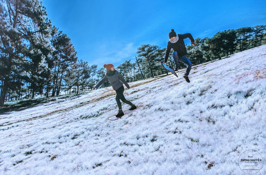 Đâu cần đến Hàn Quốc xa xôi, Đà Lạt cũng ngập tràn ‘tuyết trắng’ khi đông về