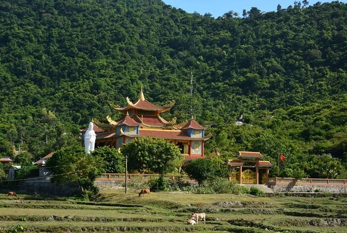 Chùa Hải Tạng – ngôi cổ tự linh thiêng trên đảo Cù Lao Chàm