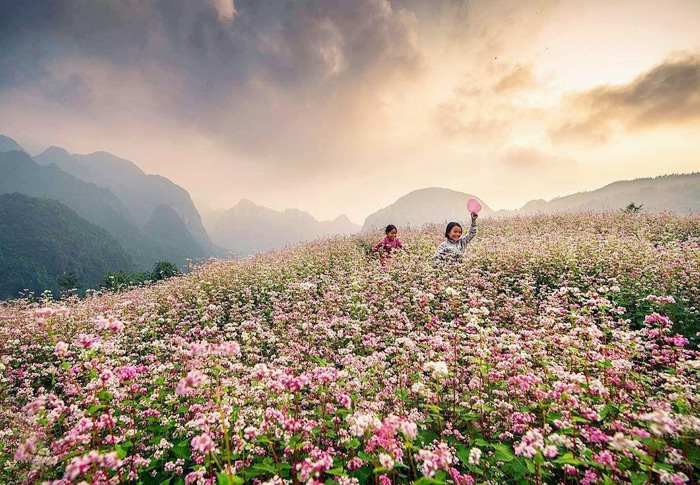 Vòng quanh Việt Nam với 10 điểm du lịch đẹp nhất mùa thu đông