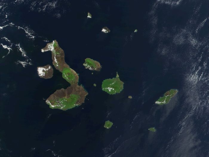 đảo con cá và những hòn đảo có hình dáng đặc biệt nhất thế giới