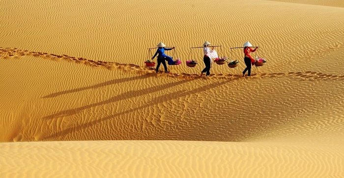 4 đồi cát đẹp nhất Việt Nam nhất định phải ghé một lần trong đời