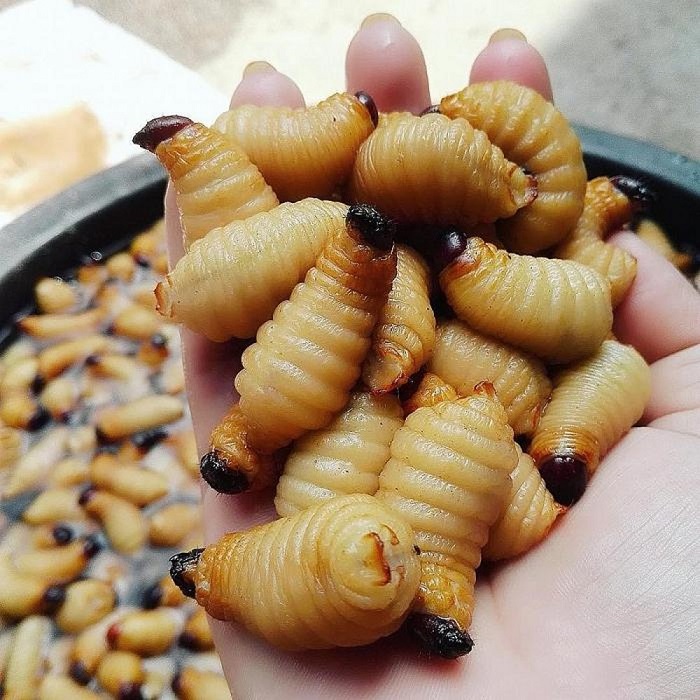 'Sởn da gà' với 3 món ăn từ côn trùng rất được yêu thích ở Việt Nam