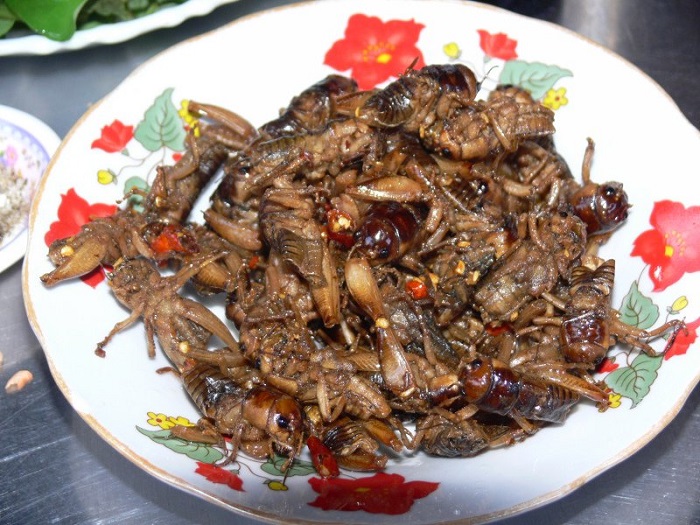 'sởn da gà' với 3 món ăn từ côn trùng rất được yêu thích ở việt nam