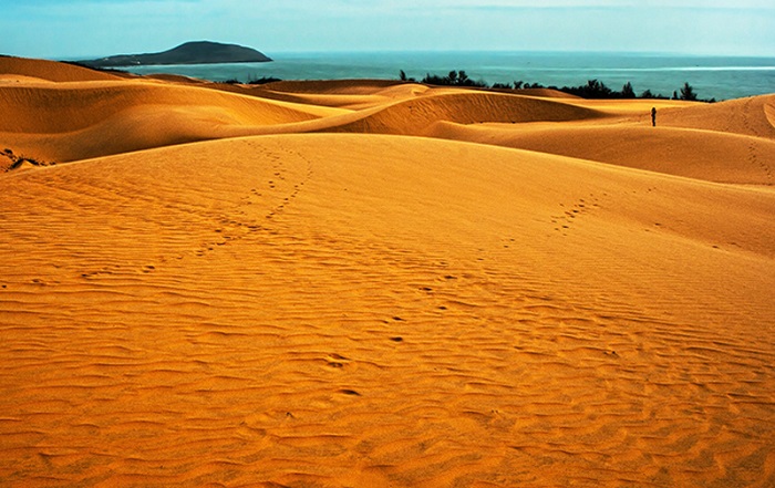 5 đồi cát miền Trung đẹp như tranh vẽ, chỉ chọn bừa một góc chụp cũng có ảnh xịn mang về