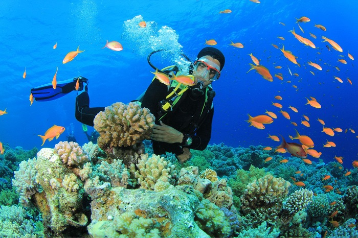 10 địa điểm lặn biển đẹp nhất thế giới: có cả hòn ông việt nam