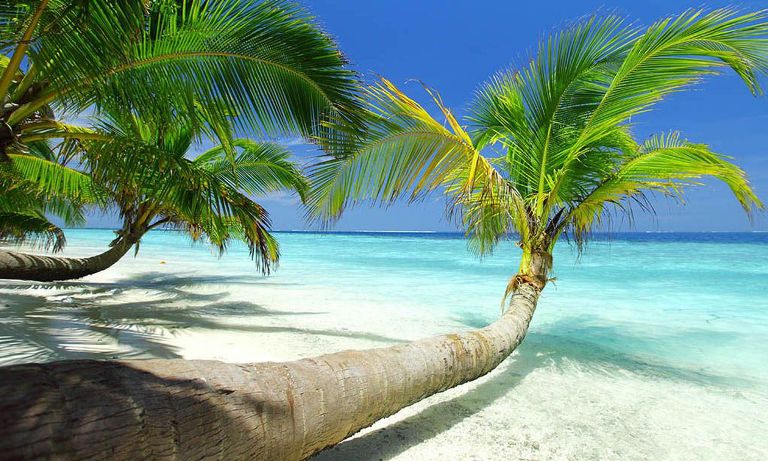 8 quần đảo thiên đường vùng biển caribbean nhất định phải ghé thăm trước khi mùa bão bắt đầu