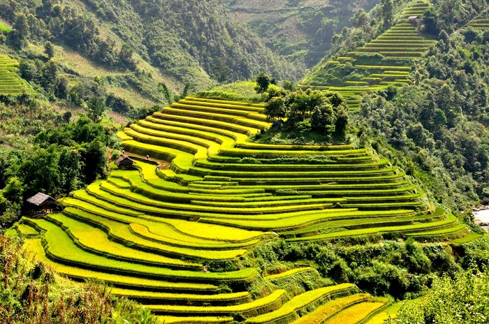‘Bay lên’ cao để 'ngắm cho đã mắt' cảnh đẹp Việt Nam đẹp đến mê hồn