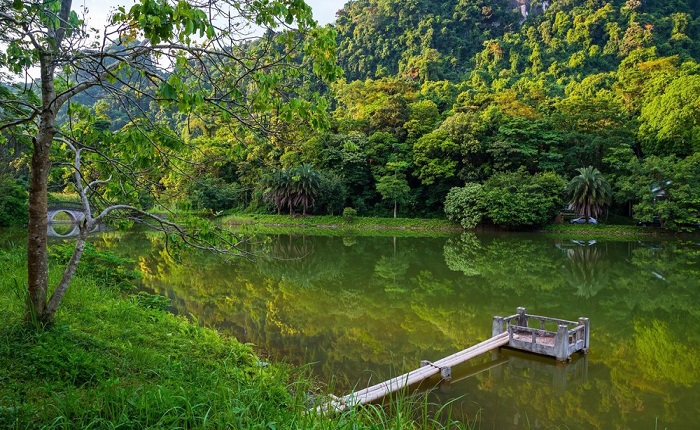 Top 5 khu rừng nguyên sinh đẹp nhất Việt Nam