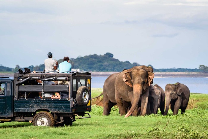 7 khu du lịch safari đưa du khách vào miền hoang dã