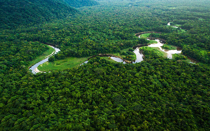 amazon, có gì ở những khu rừng đẹp nhất thế giới cho quên hết mọi ưu phiền?