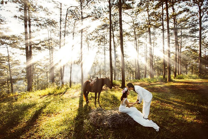 5 địa điểm chụp ảnh cưới ngoại cảnh đẹp như mơ ở việt nam cho các cặp đôi