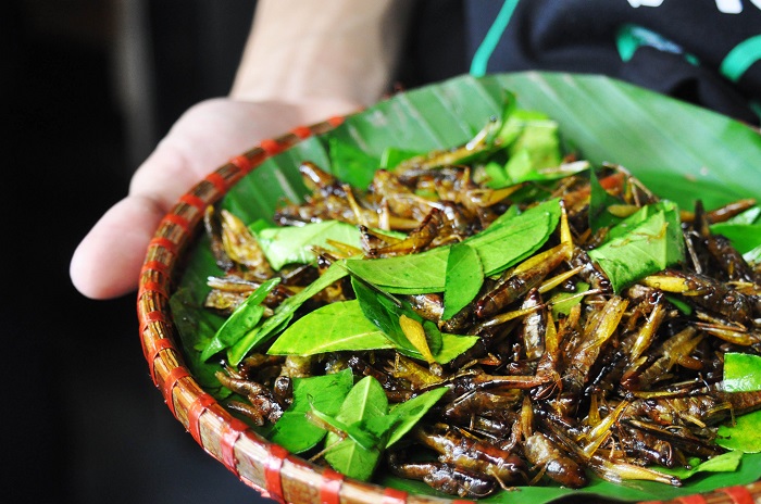 7 đặc sản côn trùng việt nam được ca ngợi hết lời bạn có dám ăn thử không?