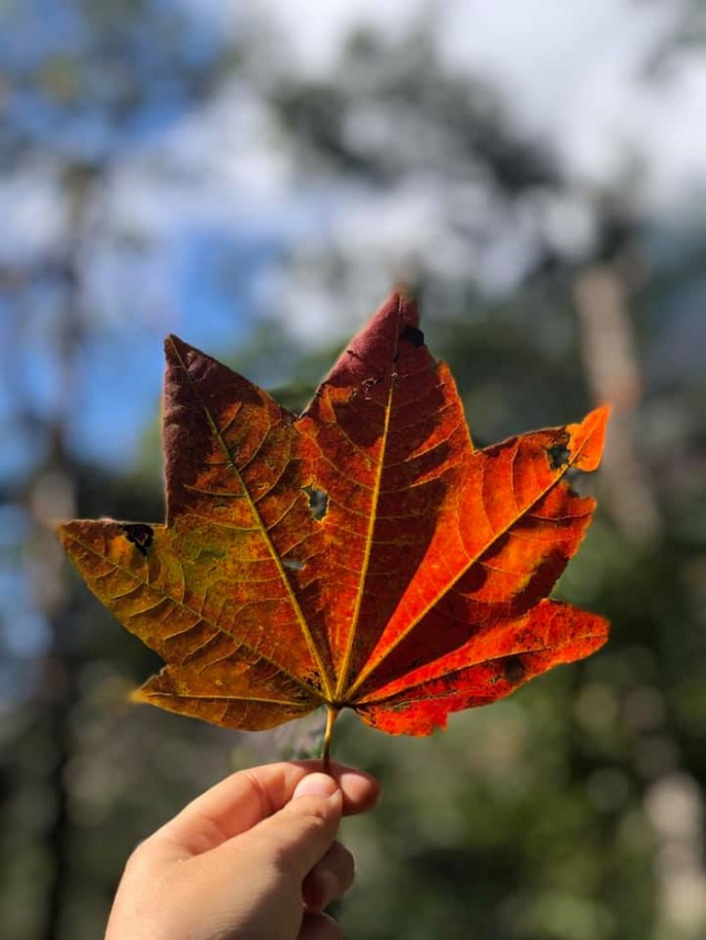 5 điểm ngắm lá phong đẹp ở tây bắc mùa cuối năm