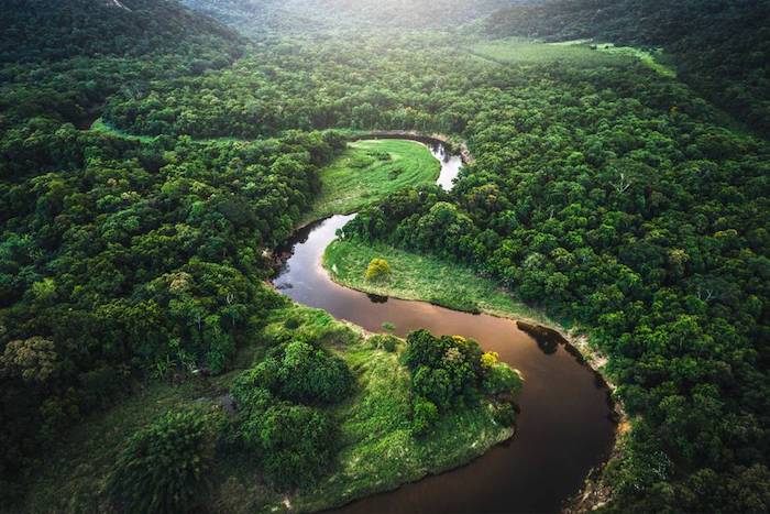 amazon, hẹn nhau ‘bung lụa’ tại những điểm đến ấn tượng trong năm 2021: nơi rừng xanh hát khúc hoan ca, còn muông thú làm chủ lãnh địa