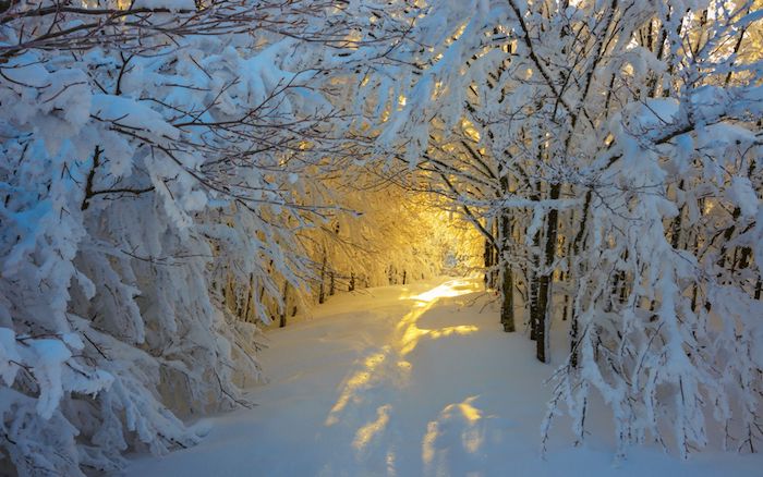 ngắm những con đường tuyết trắng đẹp nao lòng vào mùa đông